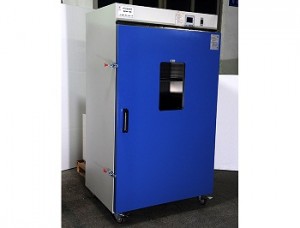 Precision forced air drying cabinet