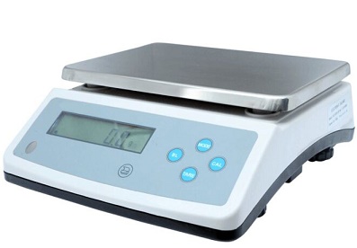 0.1g Electrical Scale
